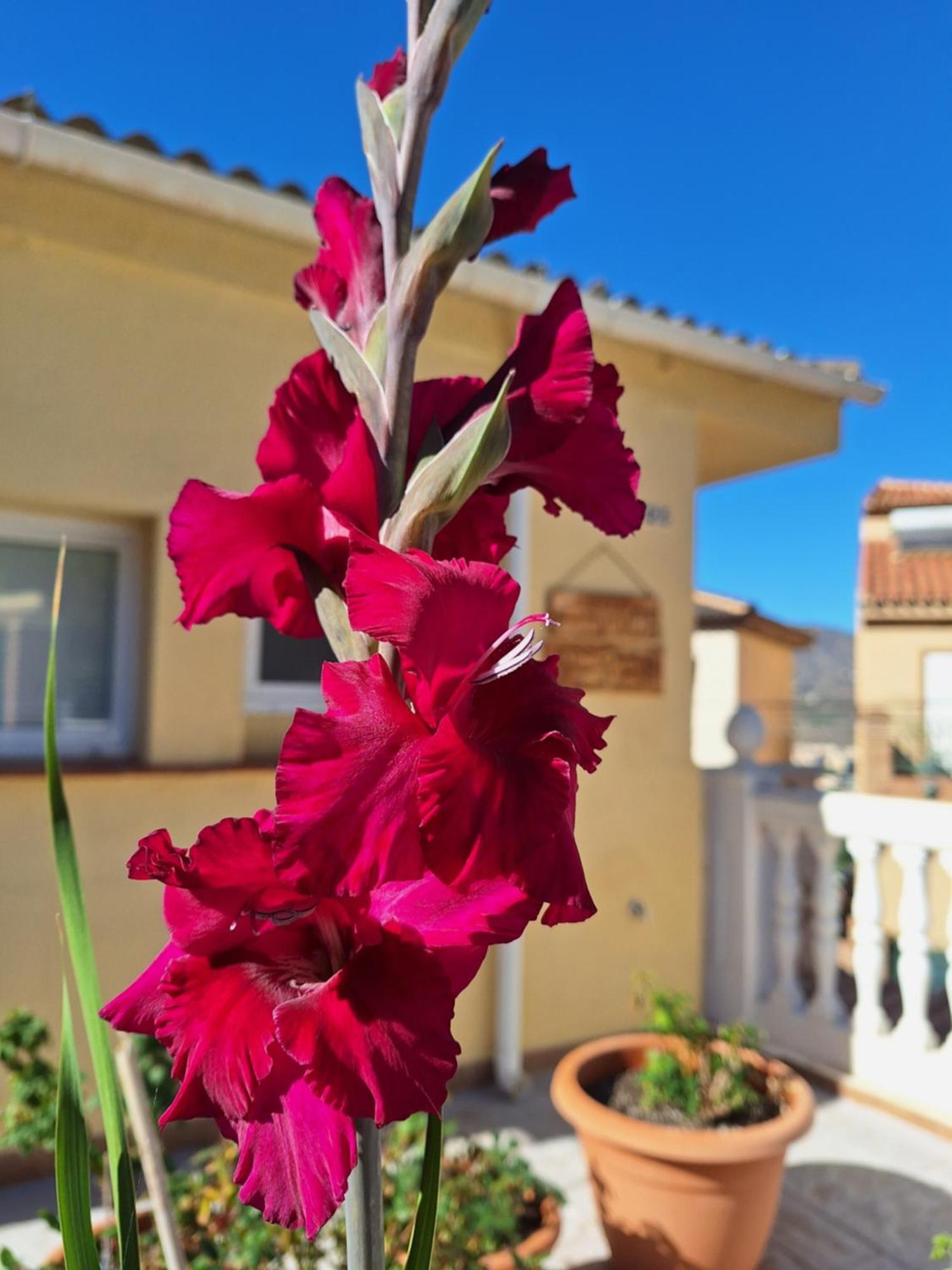 Casa Mirador Perea Διαμέρισμα Μάλαγα Εξωτερικό φωτογραφία